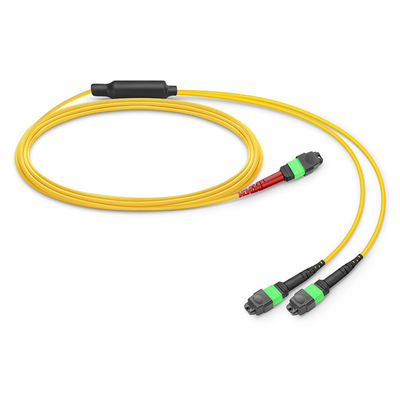 24 Cores Mtp Patch Cable Mpo Fiber Patch Cable SM OS2 With LSZH Out Jacket