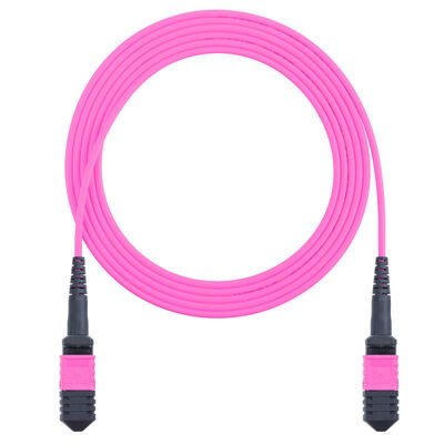 8 Cores 12 Cores MPO OM4 Fiber Optic Patch Cord