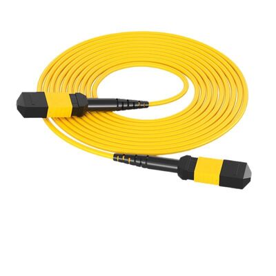 5G Telecommunication ≤0.5dB 8/12/24 Cores Single Mode MPO to MPO Fiber Patch Cord