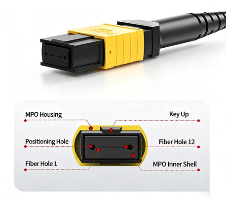 FTTH SM MTP 40/100/200G MPO-FC 8Cores OS2/G652D Fan-out Fiber Jumper