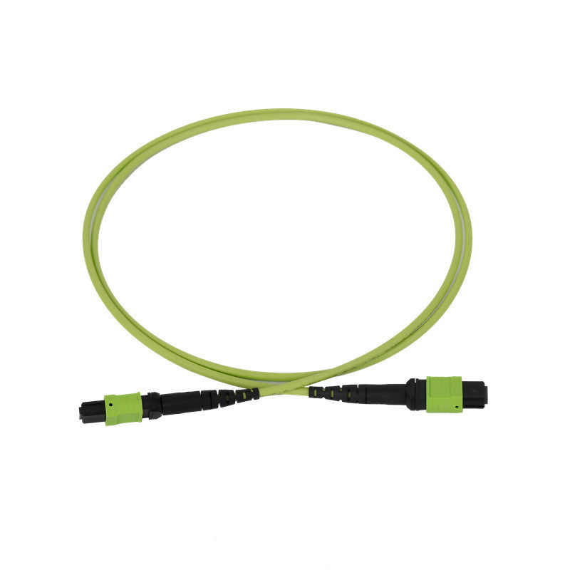 50/125 OM5 Mpo Fiber Jumper Mtp Mpo Fiber Patch Cable 3.0mm PVC