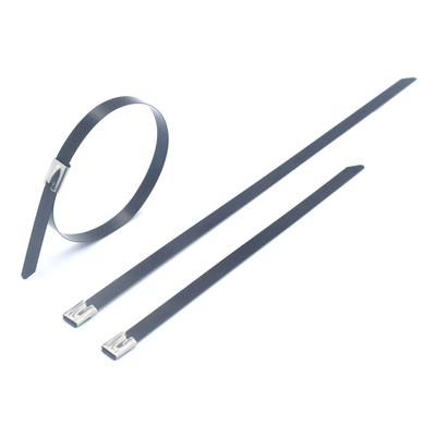 100pcs/bag UV-resistant Polyester Epoxy Nylon 11 Coated Stainless Steel Cable Ties