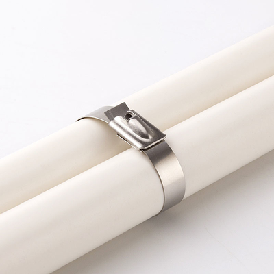Self-locking Metallic PVC Coated Stainless Steel Cable Ties for Free Sample